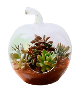 manisa çiçek, manisa çiçekçi, manisa çiçek gönder,