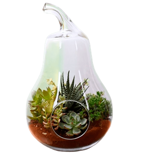 manisa çiçek, manisa çiçekçi, manisa çiçek gönder,