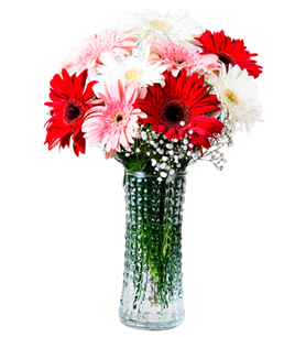 manisa çiçek, manisa çiçekçi, manisa çiçek gönder,