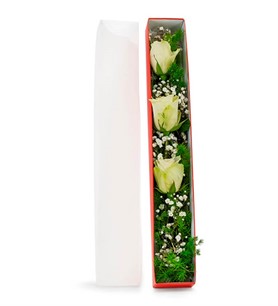 manisa çiçek, manisa çiçekçi, manisa çiçek gönder,