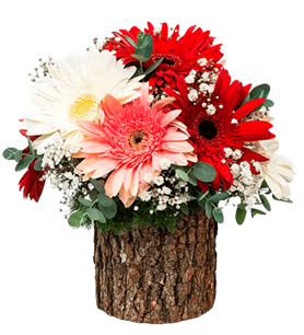 manisa çiçek, manisa çiçekçi, manisa çiçek gönder,