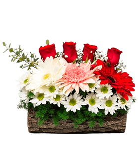 manisa çiçek, manisa çiçekçi, manisa çiçek gönder,