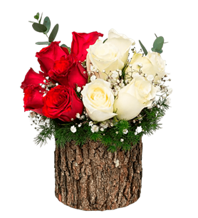 manisa çiçek, manisa çiçekçi, manisa çiçek gönder,