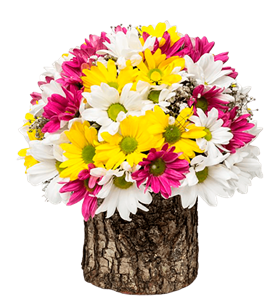 manisa çiçek, manisa çiçekçi, manisa çiçek gönder,