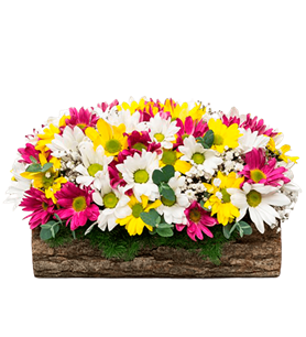 manisa çiçek, manisa çiçekçi, manisa çiçek gönder,