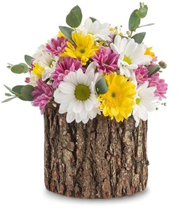 manisa çiçekçi, manisa çiçek gönder, manisa çiçek siparişi