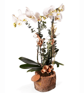 manisa çiçek, manisa çiçekçi, manisa çiçek gönder,