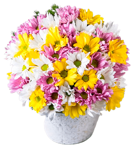 manisa çiçek, manisa çiçekçi, manisa çiçek gönder,