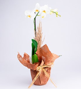 manisa çiçek, manisa çiçekçi, manisa çiçek gönder,